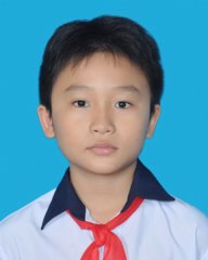 Đỗ Phan Việt Chi