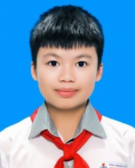 Trịnh Gia Huy